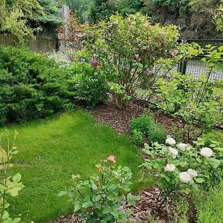 Malwina Apartment Bad Altheide