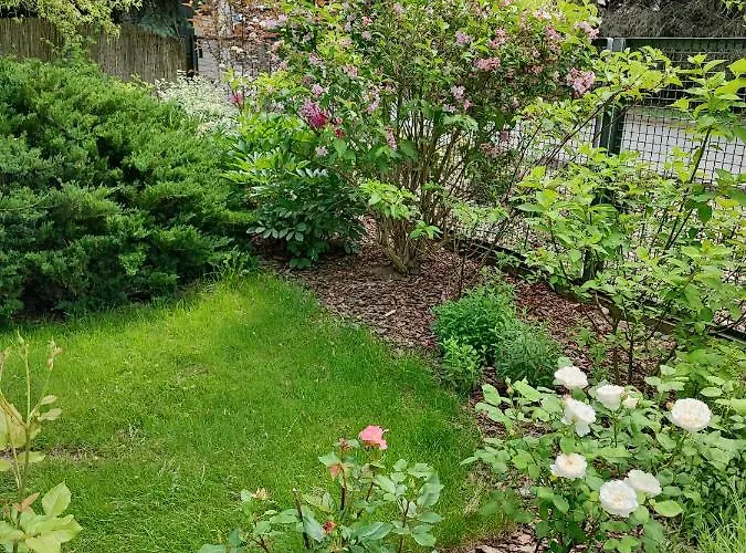 Malwina Apartment Polanica-Zdroj