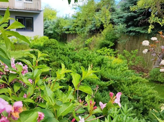 Malwina * Polanica-Zdroj