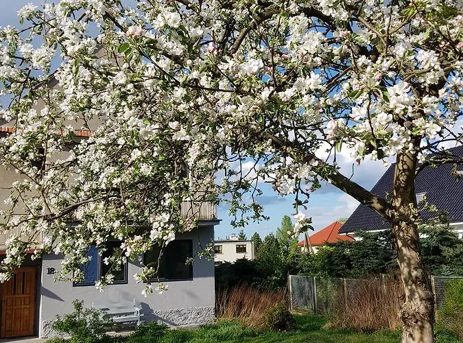 Malwina * Polanica-Zdroj