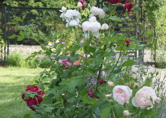 Apartment Malwina Polanica-Zdroj