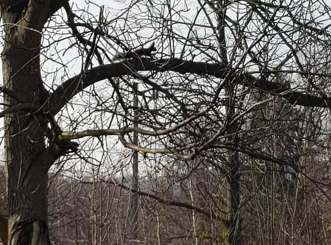 Apartment Malwina Polanica-Zdroj